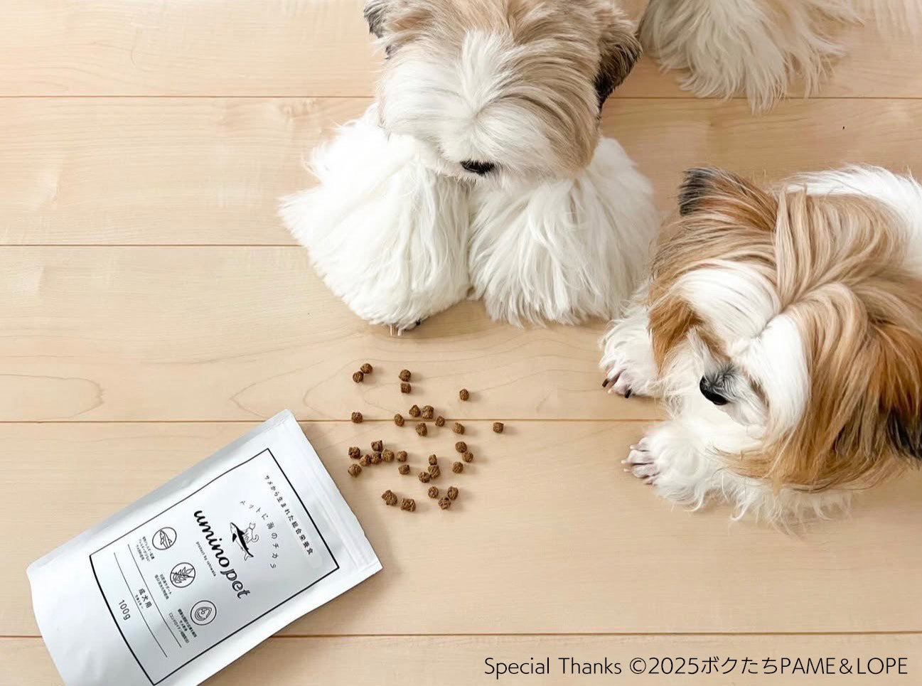 uminopet おためしアソートパック