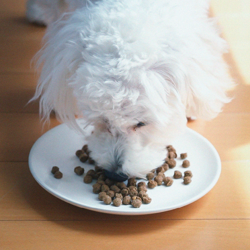 uminopet 総合栄養食 / 800g 3袋セット