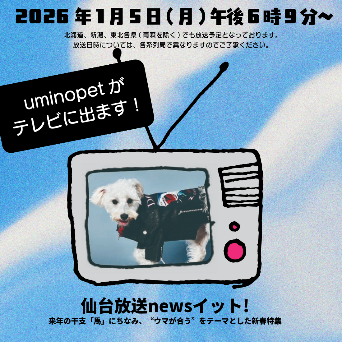 uminopetがテレビに出ます！