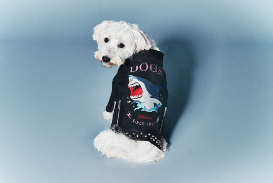 愛犬用『サメジャン』『沼ジャン』の予約販売を開始します。