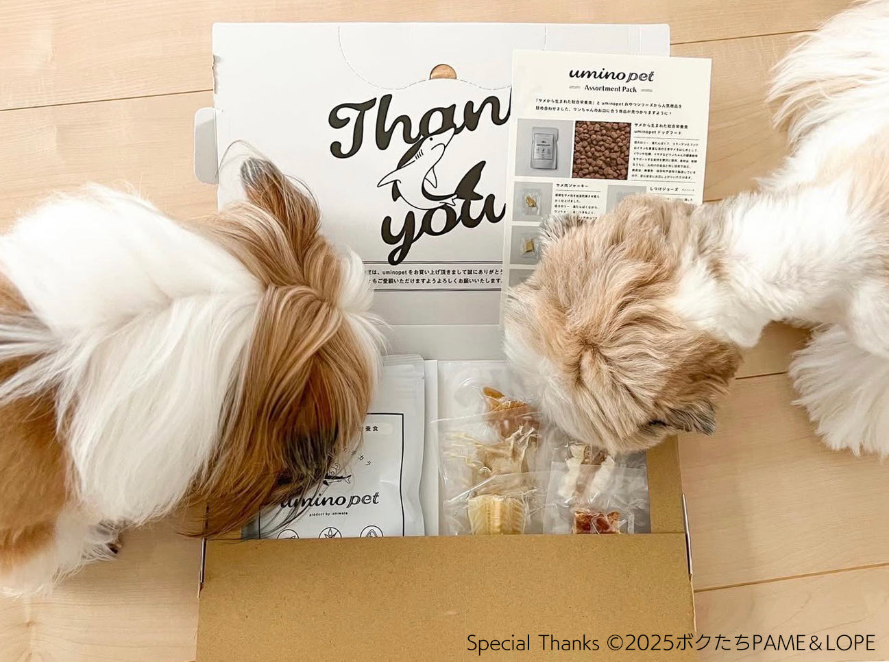 uminopet おためしアソートパック
