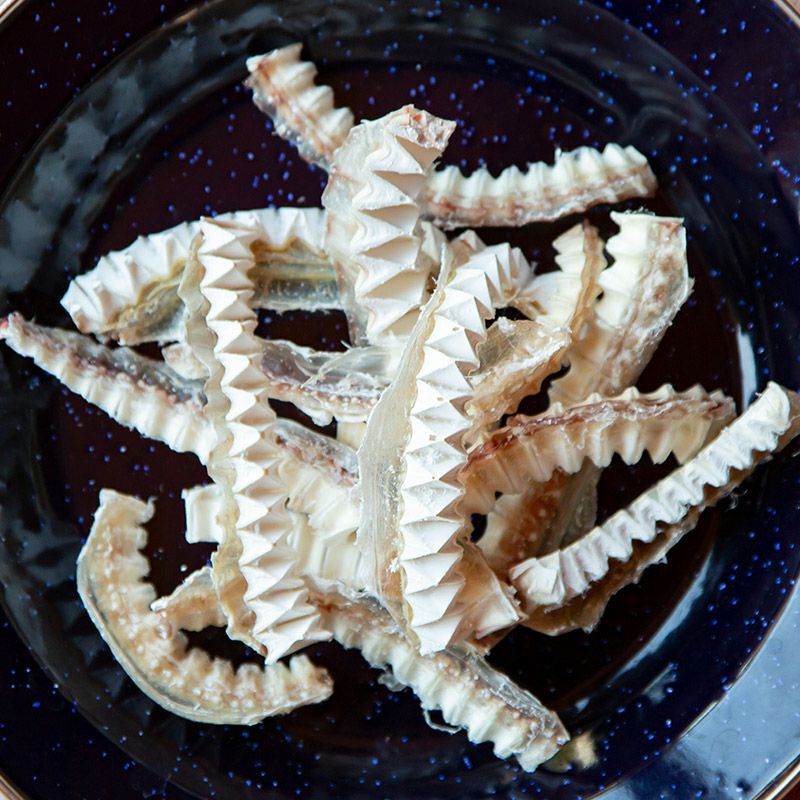 uminopet サメ軟骨スティック