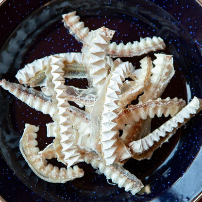 uminopet サメ軟骨スティック