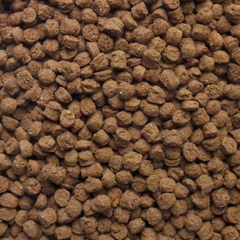 uminopet 総合栄養食 / 800g 3袋セット