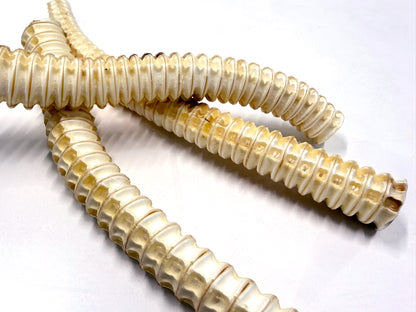 uminopet シャークペンシル（サメ軟骨）