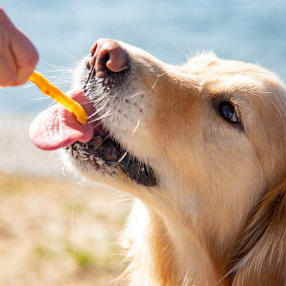 uminopet サメ肉ジャーキー