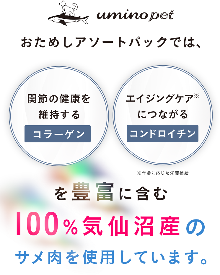uminopet おためしアソートパックでは、関節の健康を維持するコラーゲン、エイジングケアにつながるコンドロイチンを豊富に含む100%気仙沼産のサメ肉を使用しています。年齢に応じた栄養補給