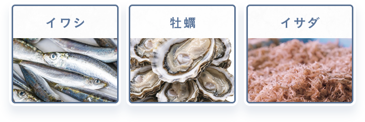 イワシ・牡蠣・イサダ