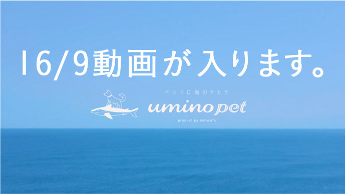 16対9の動画が入ります