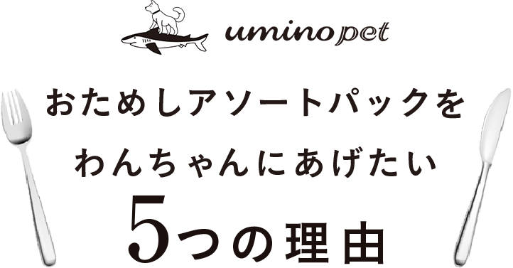 uminopet おためしアソートパックをわんちゃんにあげたい5つの理由