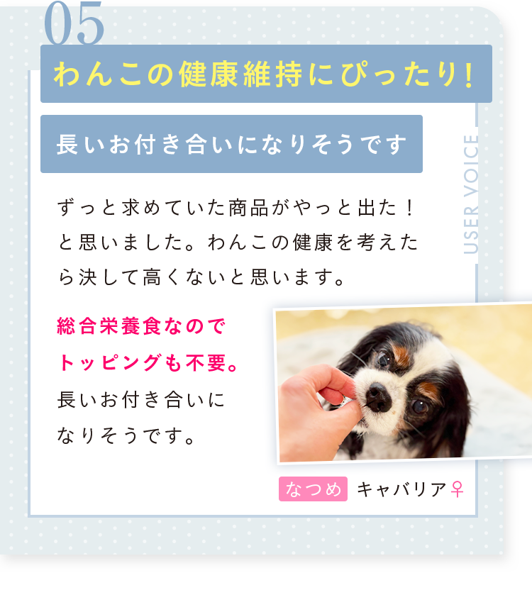 05 わんこの健康維持にぴったり！長いお付き合いになりそうです。なつめ キャバリア・メス